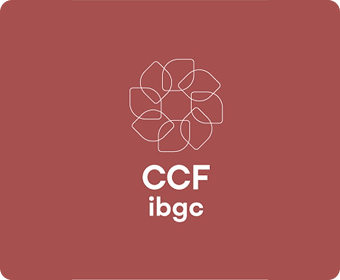 Certificação CCF IBGC