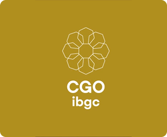 Certificação CGO IBGC
