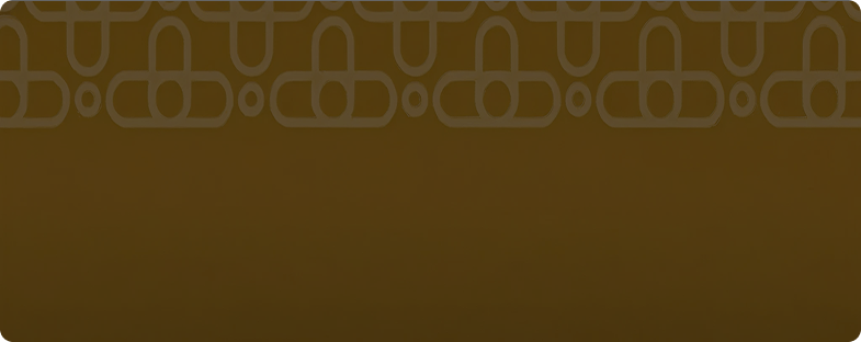 Programa Diversidade em Conselho - Raízes