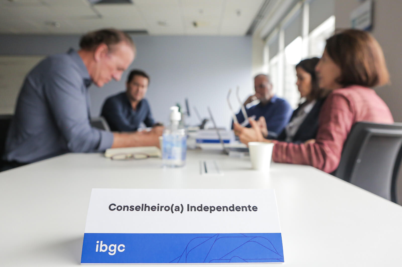Matriz RACI do IBGC
